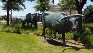 Texas