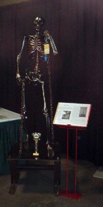 skeleton